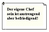 Textfeld: Der eigene Chef  sein ist anstrengend aber befriedigend!