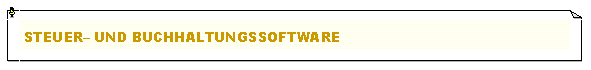 Textfeld: Steuer� und Buchhaltungssoftware